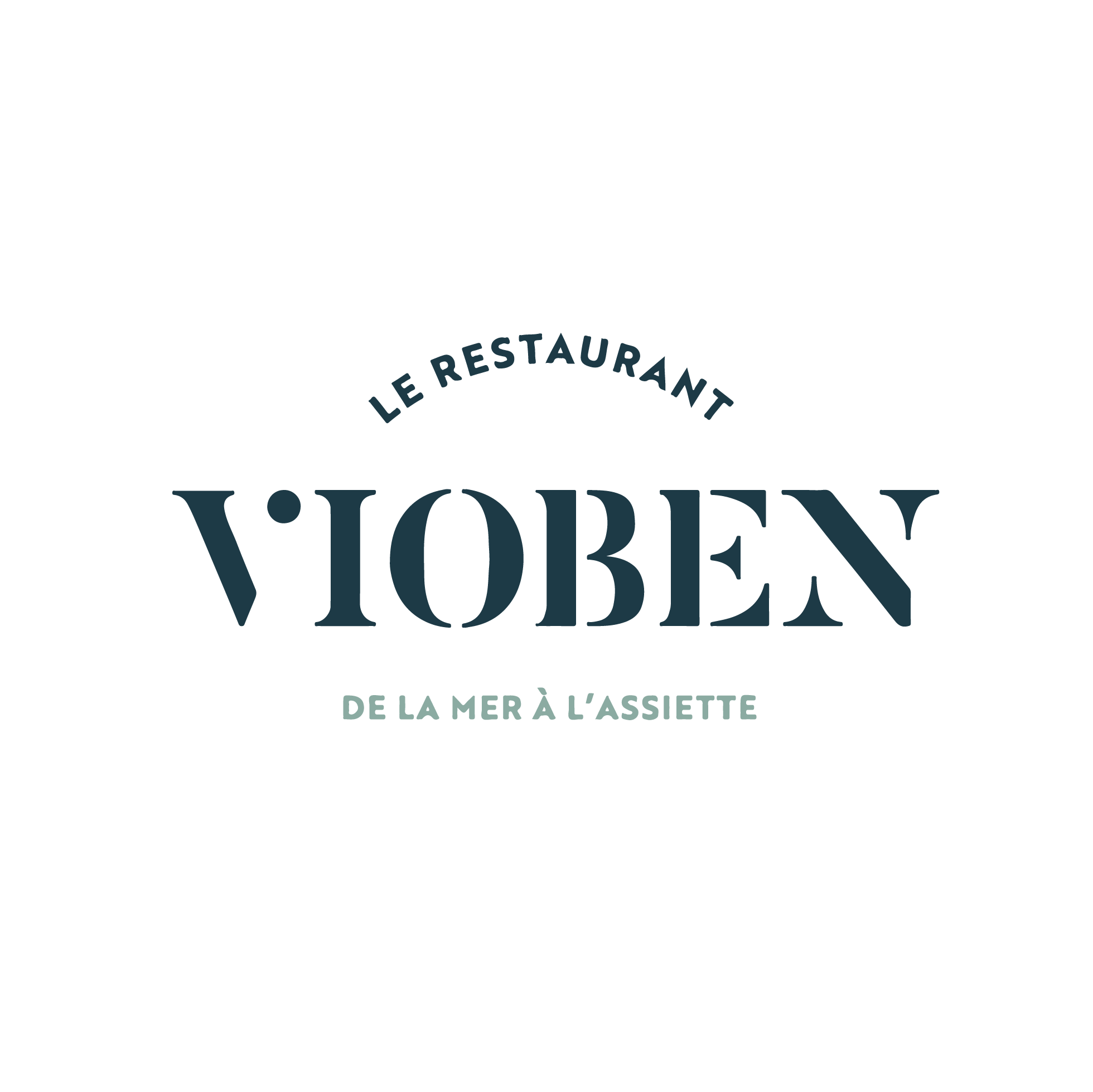Logo vioben